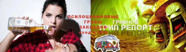 эйфоретик Арсеньев