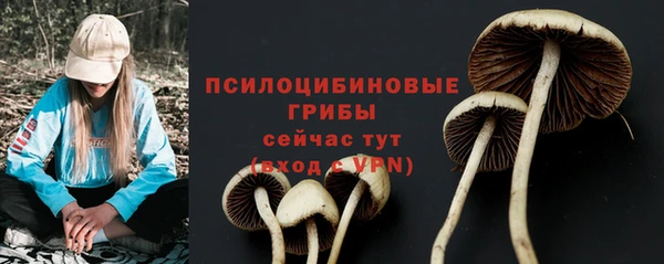 эйфоретик Аркадак