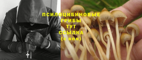 эйфоретик Аркадак