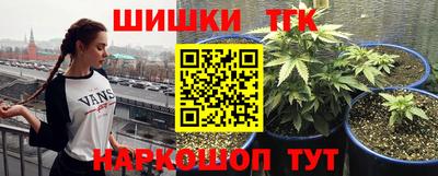 гидра Сланцы