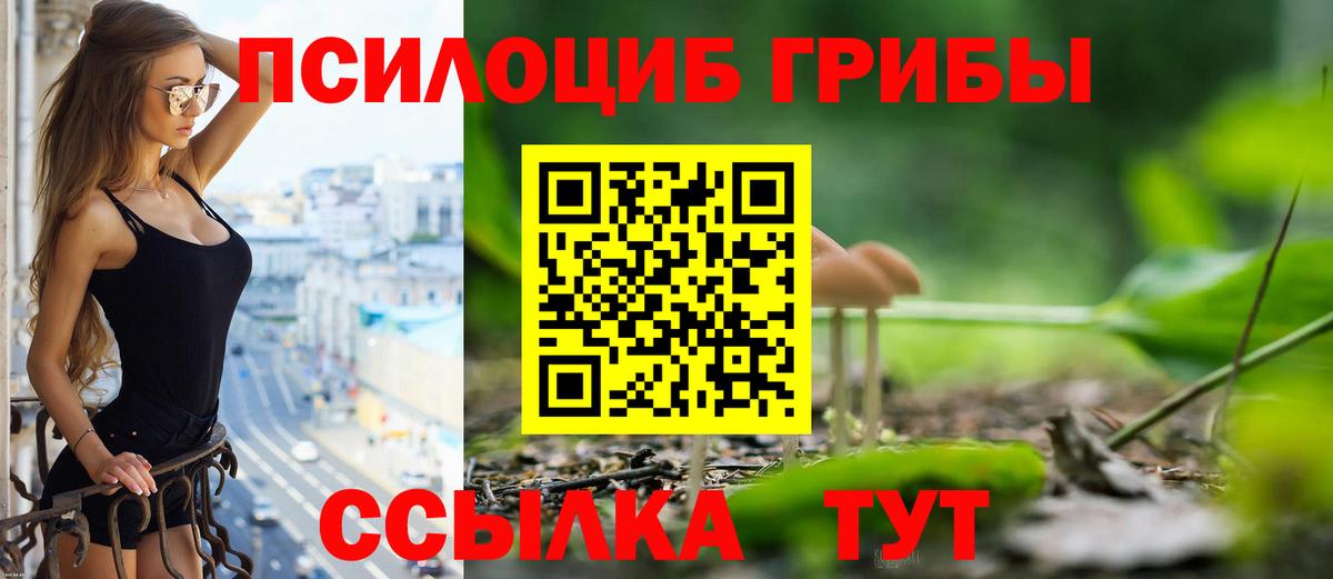 цены наркотик  Псилоцибиновые грибы ЛСД  Вход с VPN  Галлюциногенные грибы мицелий  Спасск-Дальний 